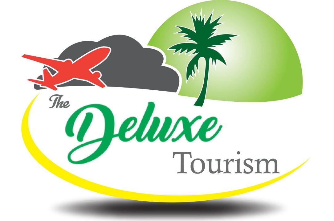 The Deluxe Trips - Logo